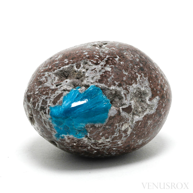 Cavansite in Matrix Part Polished/Part Natural Crystal from India | Venusrox
