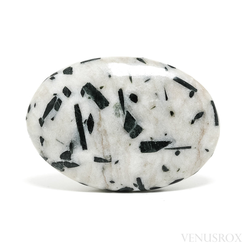 Actinolite in Quartz Polished Crystal from India | Venusrox