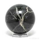 Petrified Wood Sphere from Russia | Venusrox