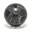 Petrified Wood Sphere from Russia | Venusrox