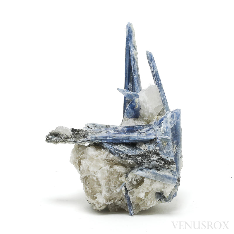 Blue Kyanite with Quartz Natural Cluster from Brazil | Venusrox