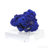 Azurite Natural Cluster from the Rubtsovsky Mine, Altaiskiy Krai, Russia mounted on a bespoke stand | Venusrox