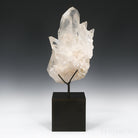 Clear Quartz Natural Cluster from Corinto, Minas Gerais, Brazil, mounted on a bespoke stand | Venusrox
