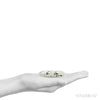 Size Illustration | Actinolite in Quartz Polished Crystal from India | Venusrox