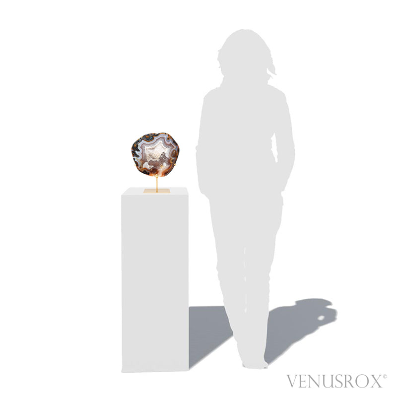 Agate with Clear Quartz Polished/Natural Crystal from Brazil | Venusrox