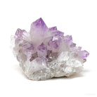 Amethyst Phantom Natural Cluster from the Anahi Mine, Santa Cruz Dept. Bolivia | Venusrox
