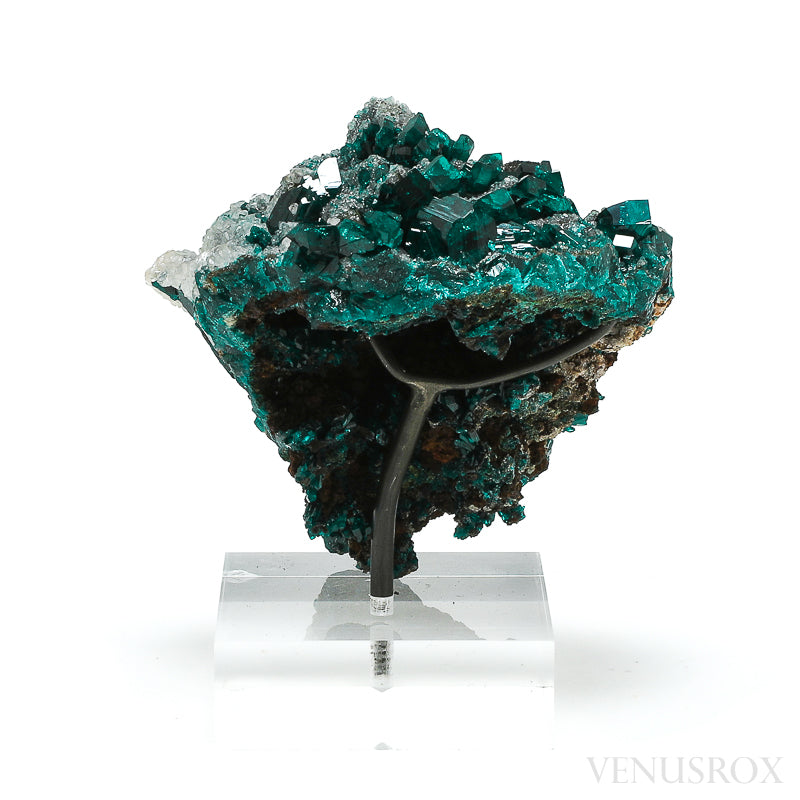Dioptase with Calcite on Matrix Natural Cluster from Renéville, Kindanba District, Pool Department, Demacratic Republic of the Congo mounted on a bespoke stand | Venusrox