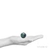 Size Illustration | Fluorite Polished Sphere from China | Venusrox