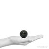Size Illustration | Gold Sheen Obsidian Polished Sphere from Mexico | Venusrox