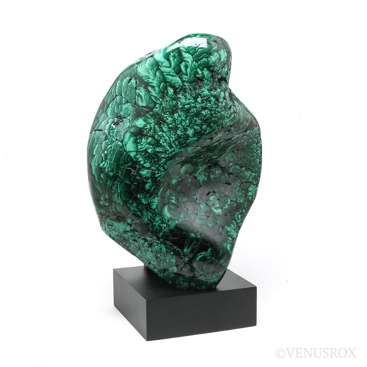 Malachite Polished Freeform from the Democratic Republic of the Congo mounted on a bespoke stand | Venusrox