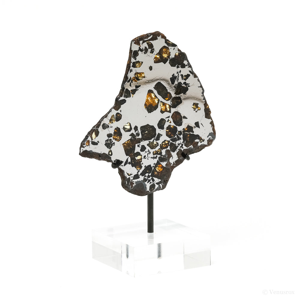 Seymchan Pallasite Meteorite Polished Slice from the Hekandue River, Jasačnaja, Magadan District, Russia mounted on a bespoke stand | Venusrox