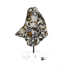 Seymchan Pallasite Meteorite Polished Slice from the Hekandue River, Jasačnaja, Magadan District, Russia mounted on a bespoke stand | Venusrox