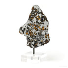 Seymchan Pallasite Meteorite Polished Slice from the Hekandue River, Jasačnaja, Magadan District, Russia mounted on a bespoke stand | Venusrox