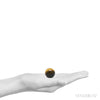 Size Illustration | Tigers Eye Sphere from South Africa | Venusrox