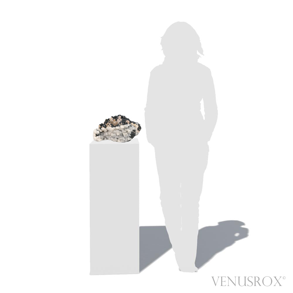 Sphalerite with Rhodochrosite & Calcite Natural Cluster from Trepča Mine, Kosovo | Venusrox