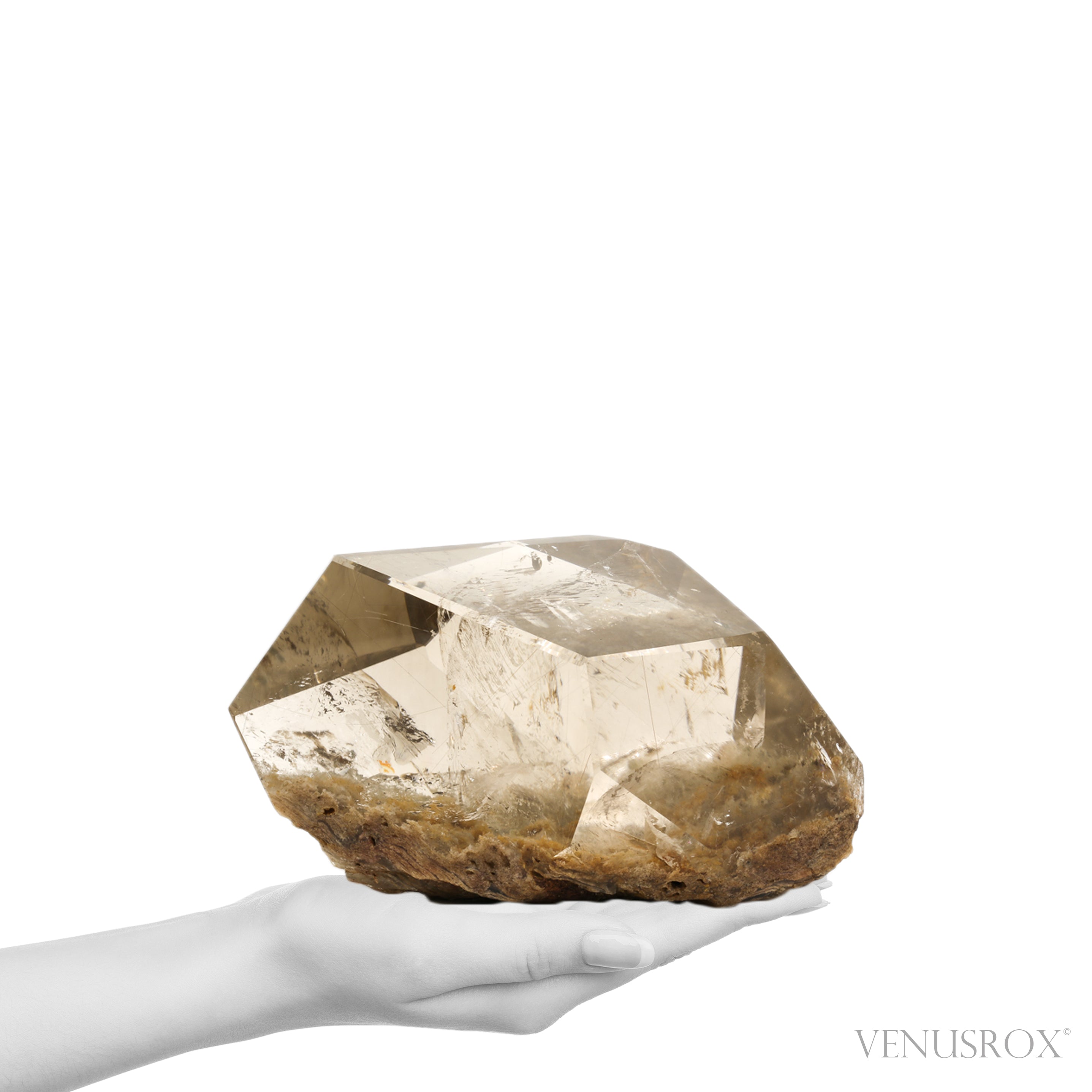 Smoky Rutilated Lodalite Quartz Polished/Natural Crystal from Brazil | Venusrox