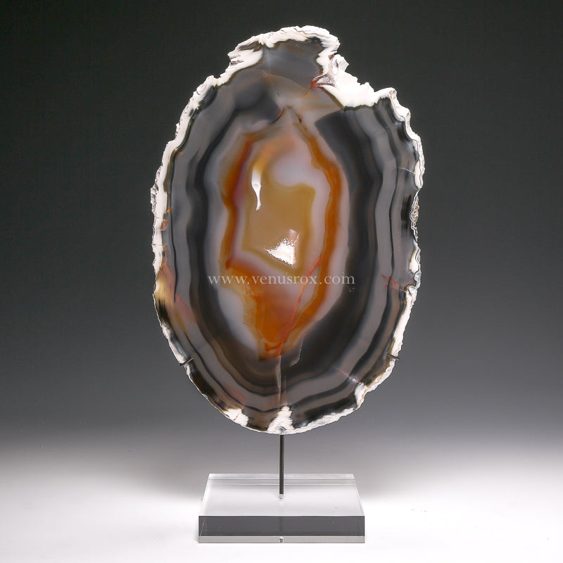 Agate Polished Slice from Brazil mounted on a bespoke stand | Venusrox