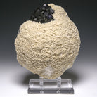 Fluorite on Barite Natural Crystal from the Elmwood Mine, Tennessee, USA | Venusrox