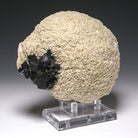 Fluorite on Barite Natural Crystal from the Elmwood Mine, Tennessee, USA | Venusrox