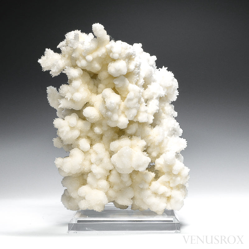 Aragonite & Calcite Natural Cluster from Santa Eulalia Mining District, Aquiles Serdán Municipality, Chihuahua, Mexico  | Venusrox