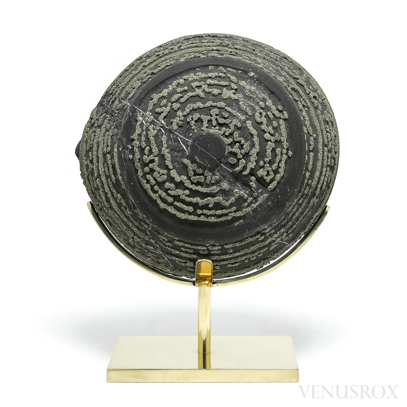Natural Pyrite Concretion from China Mounted on a bespoke stand | Venusrox