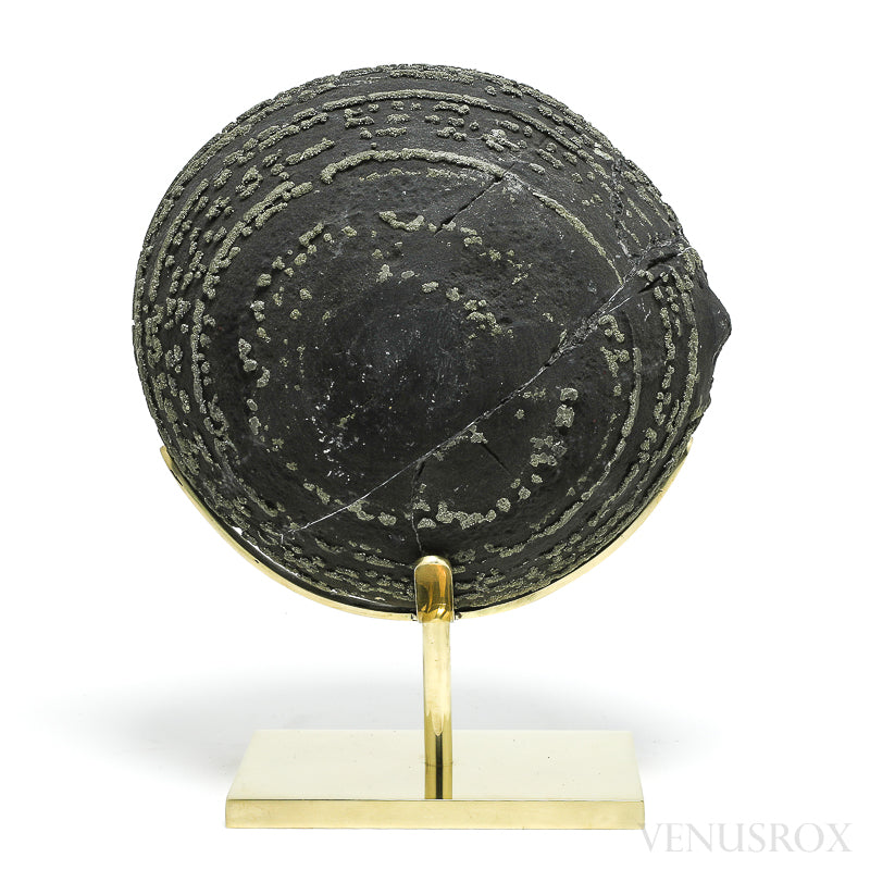 Natural Pyrite Concretion from China Mounted on a bespoke stand | Venusrox