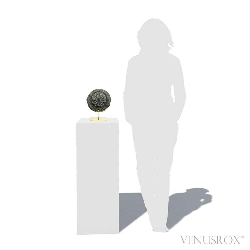Natural Pyrite Concretion from China Mounted on a bespoke stand | Venusrox