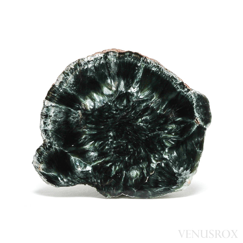 Seraphinite Polished/Natural Crystal from the Korshunovskoye Iron Scary Deposit, Irkutskaya Oblast, Siberia, Russia | Venusrox