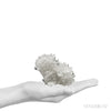 Apophyllite Natural Cluster from Maharashtra, India | Venusrox