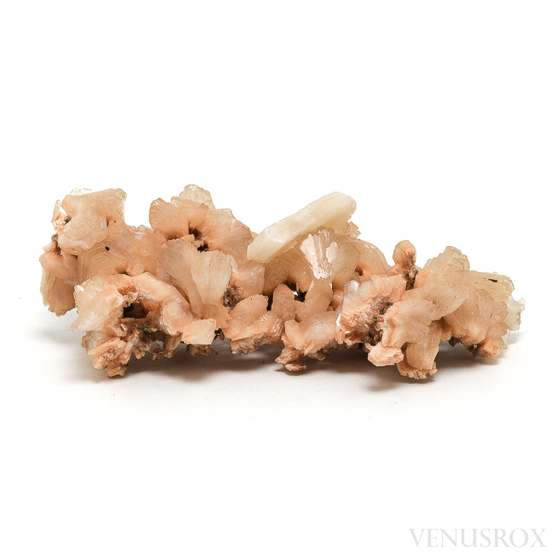 Stilbite Natural Cluster from Maharashtra, India | Venusrox