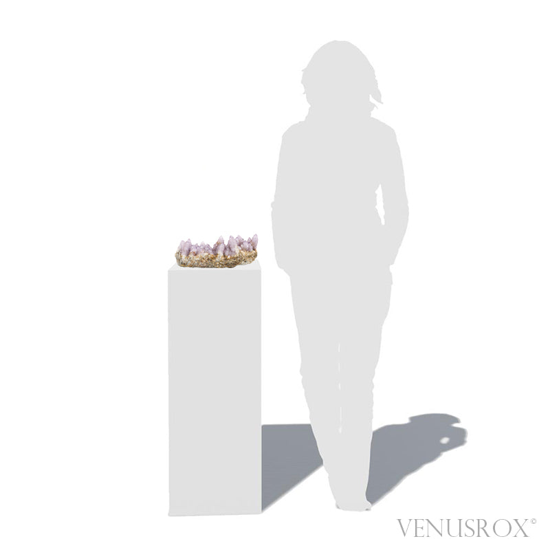 Natural Amethyst Spirit Quartz Cluster from Mpumalanga, South Africa | Venusrox