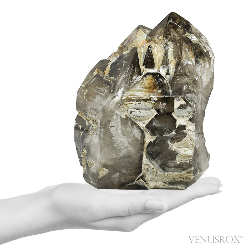 Smoky Phantom Elestial Quartz Part Polished/Part Natural Point from Brazil | Venusrox