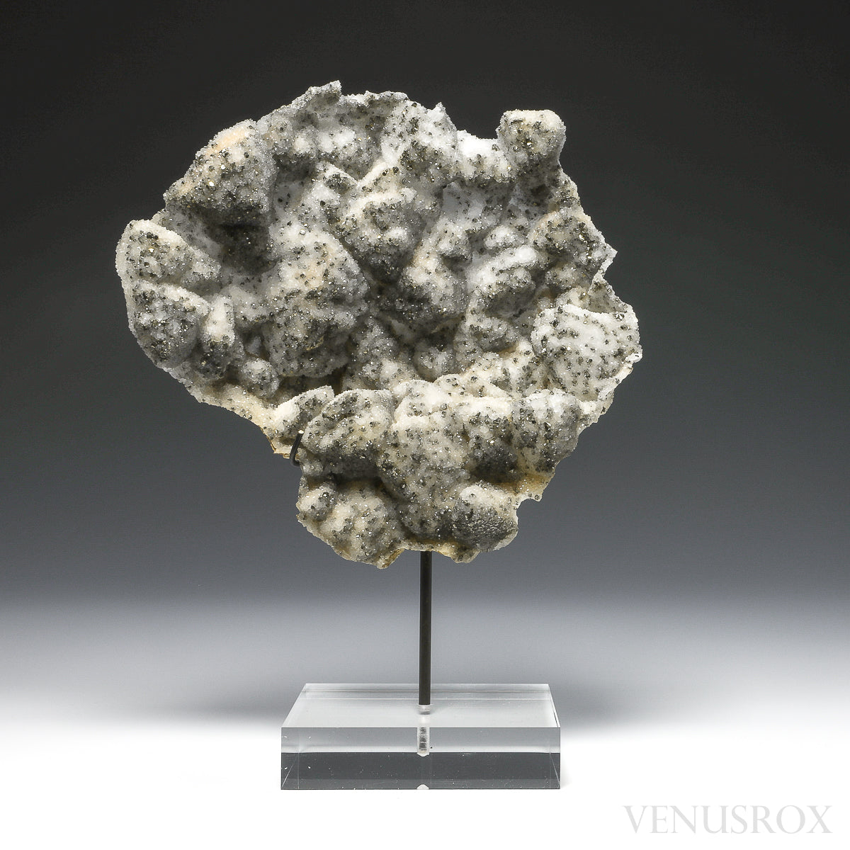 Pyrite on Quartz Natural Cluster from the Cavnic Mine, Cavnic, Maramureș County, Romania, mouted on a bespoke stand | Venusrox