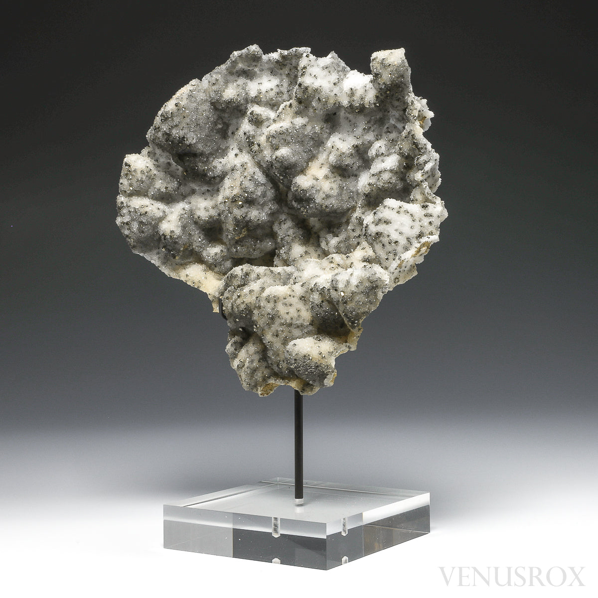 Pyrite on Quartz Natural Cluster from the Cavnic Mine, Cavnic, Maramureș County, Romania, mouted on a bespoke stand | Venusrox