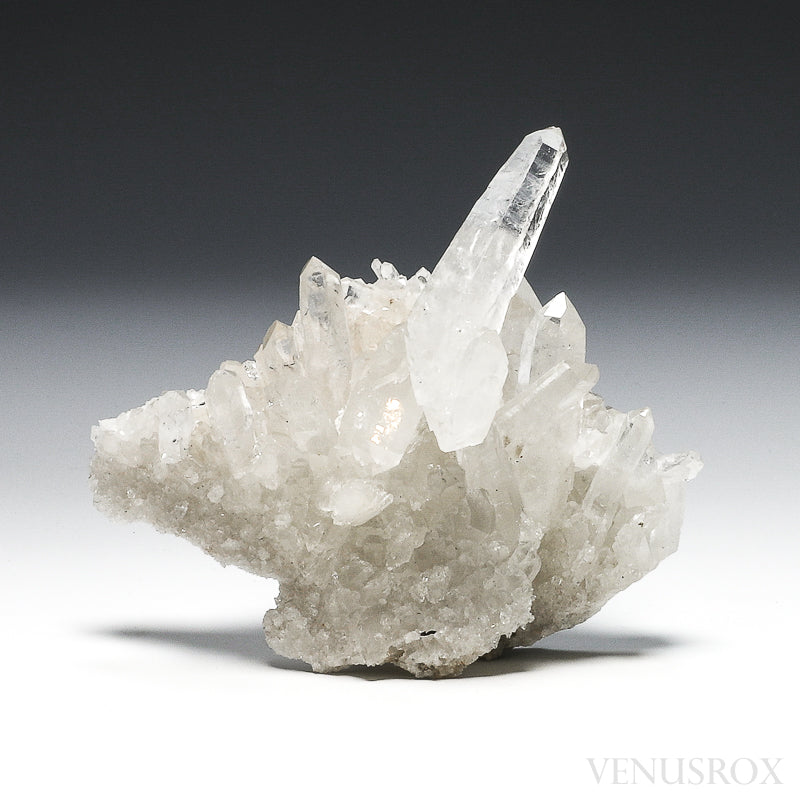 Clear Quartz Natural Cluster from Diamantina, Minas Gerais, Brazil | Venusrox