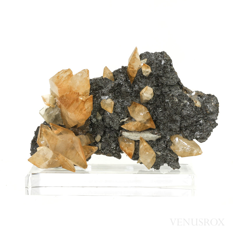 Stellar Beam Calcite on Sphalerite Natural Cluster from the Elmwood Mine, Tennessee, USA, mounted on a bespoke stand | Venusrox