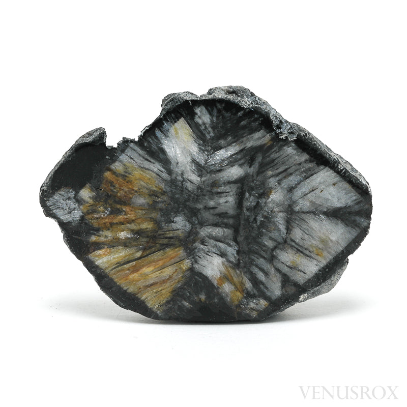 Chiastolite/Andalusite Polished/Natural Crystal from Pestsovye Keivy, Keivy Mountains, Kola Peninsula, Northern Region, Russia | Venusrox
