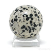 Dalmatian Jasper Polished Sphere from China | Venusrox