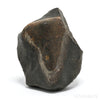 NWA Chondrite Meteorite Fragment from Sahara Desert, North-West Africa | Venusrox