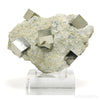 Pyrite Cubes in Matrix from Navajun, La Rioja, Spain mounted on a bespoke stand | Venusrox