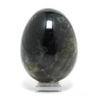 Blue Sapphire Polished Egg from Madagascar | Venusrox