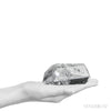 Lemurian Quartz Polished Crystal from Brazil | Venusrox