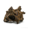 Sericho Pallasite Skeleton Meteorite from Habaswein, Wajir County, Kenya | Venusrox