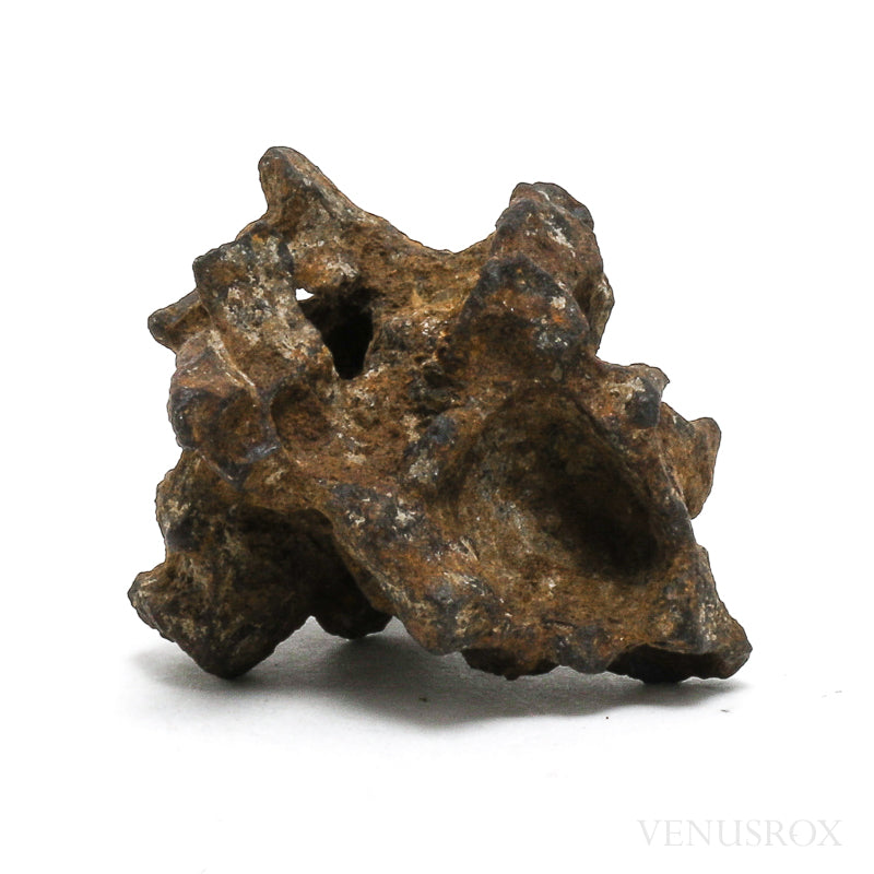 Sericho Pallasite Skeleton Meteorite from Habaswein, Wajir County, Kenya | Venusrox