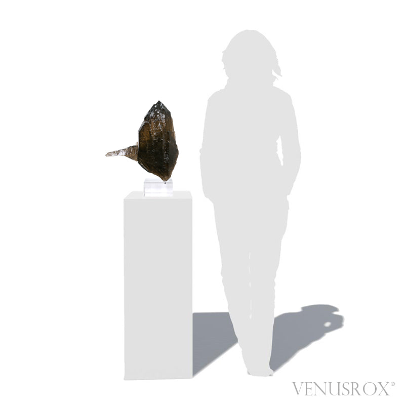 Smoky Quartz Cathedral Natural Point from Brazil mounted on a bespoke stand | Venusrox