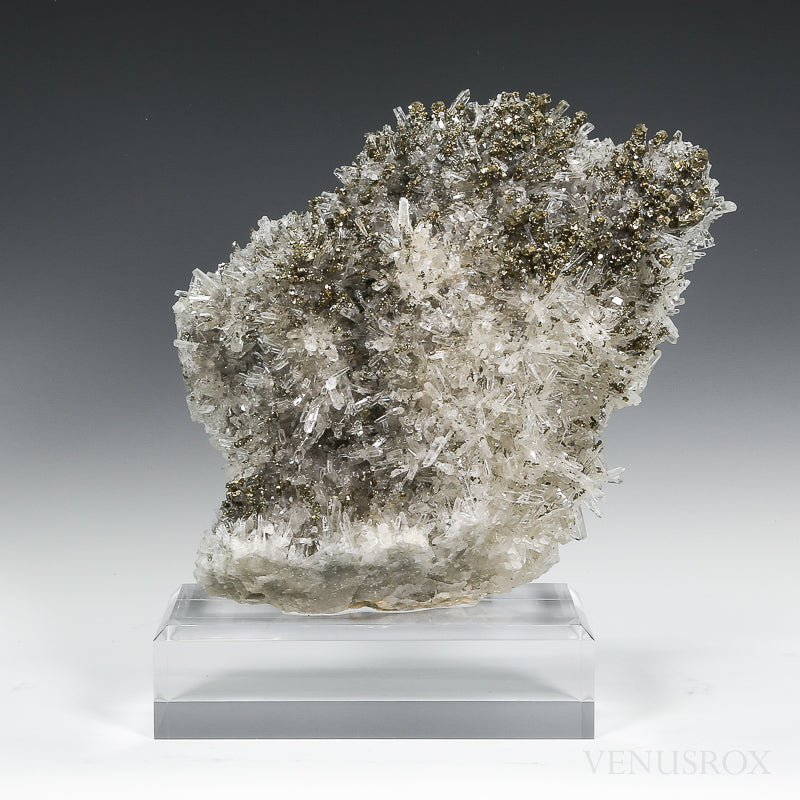 Quartz with Pyrite Natural Cluster from the Trepča Mine, Kosovo Mounted on a bespoke stand | Venusrox