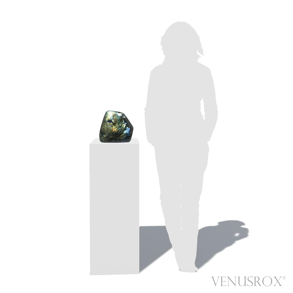 Labradorite Polished Freeform from Madagascar | Venusrox