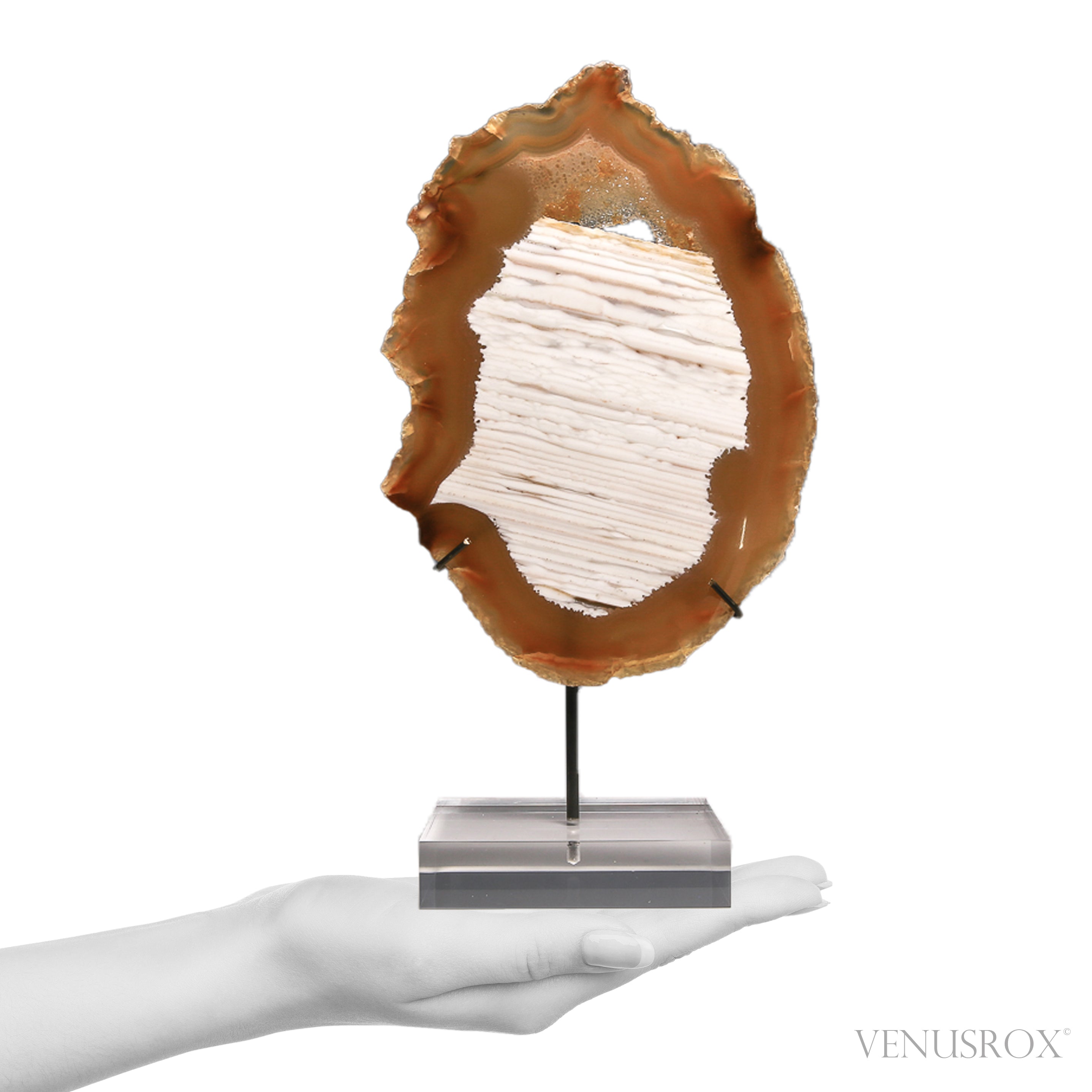 Agate with Quartz Polished Slice from Brazil, mounted on a bespoke stand | Venusrox