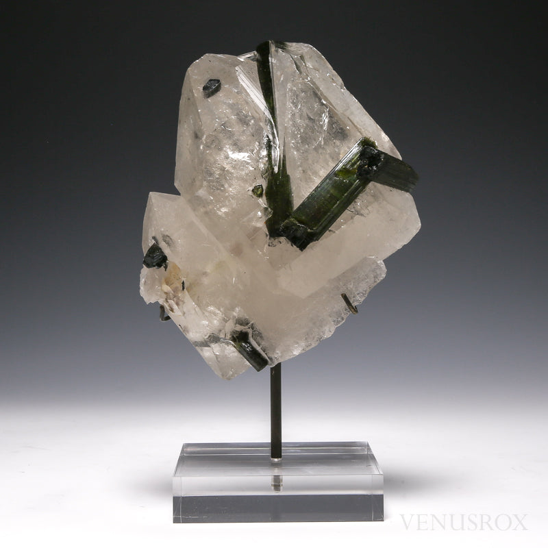 Green Tourmaline in Smoky Quartz Natural Cathedral Point from Brazil mounted on a bespoke stand | Venusrox