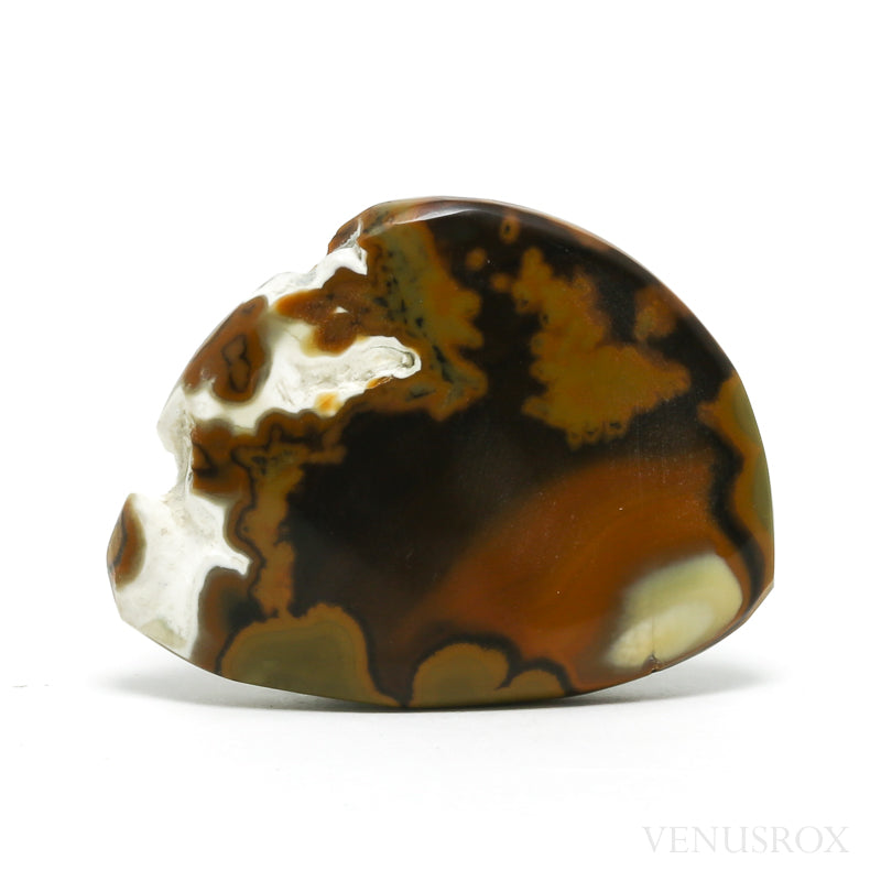 Opal with Chalcedony Part Polished/Part Natural Crystal from Russia | Venusrox